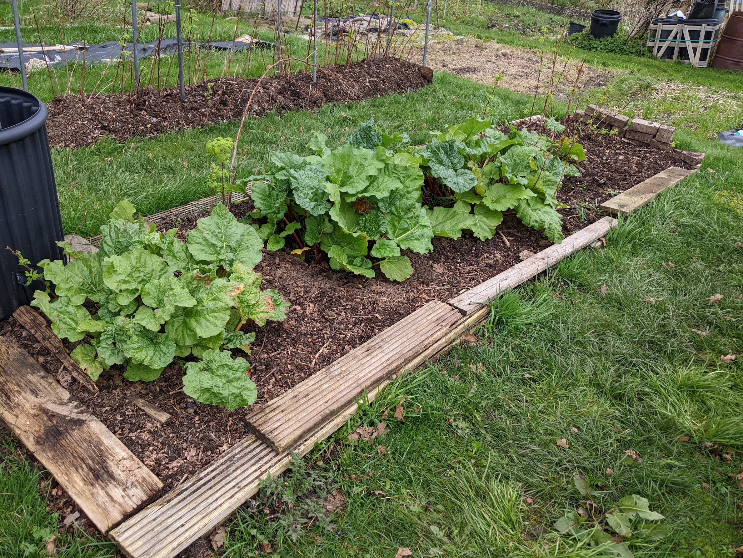 Need a Spring playlist?